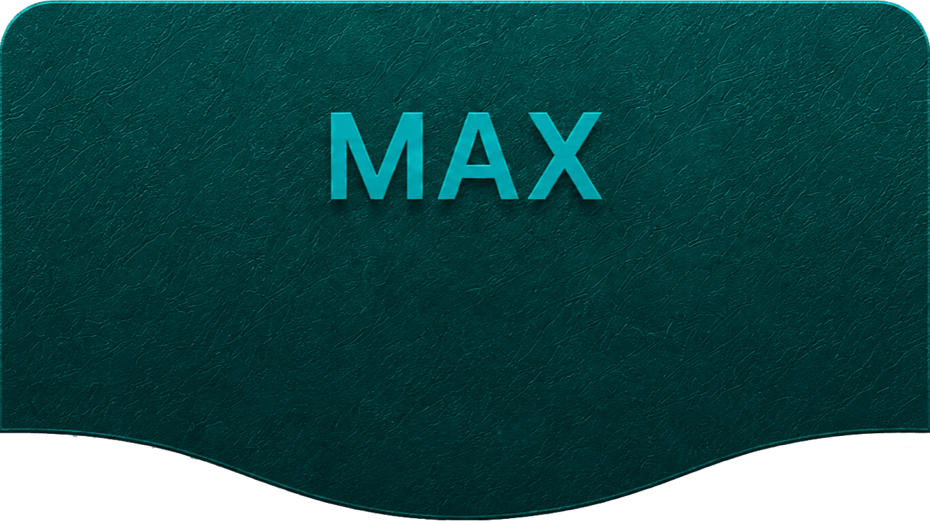 MAX: 为高频生成和组织协作提供最大能力