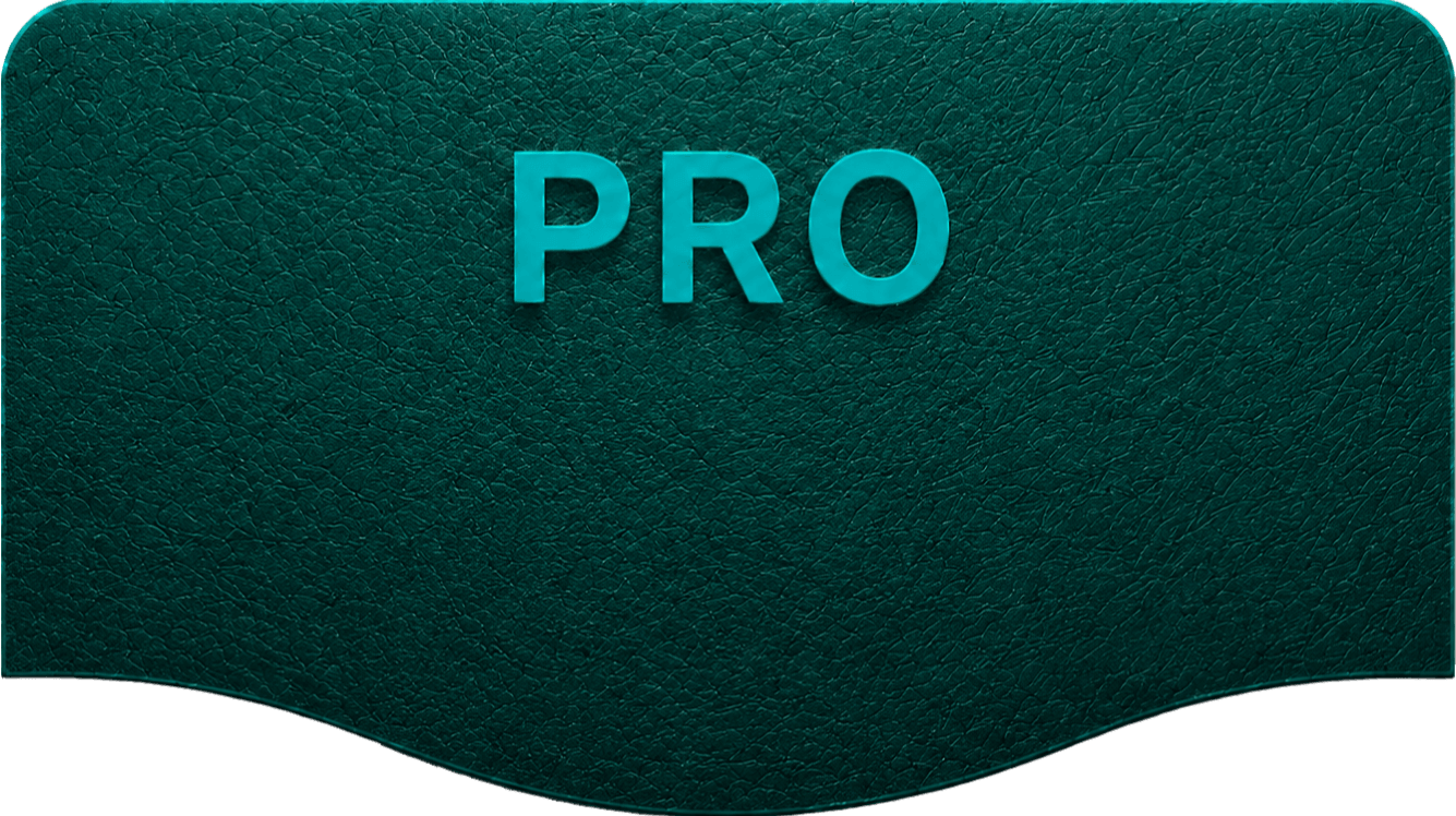 PRO: 适合持续创建学习内容的团队